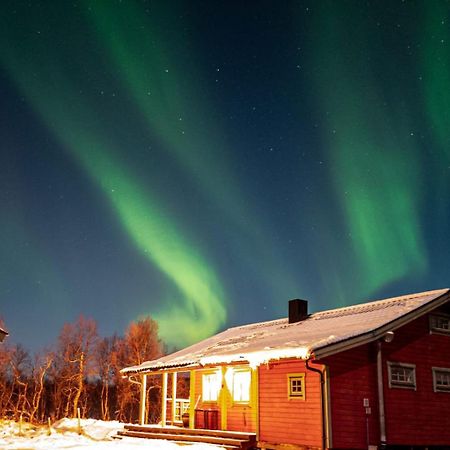 Trivelig Hytte I Senja. Exterior photo