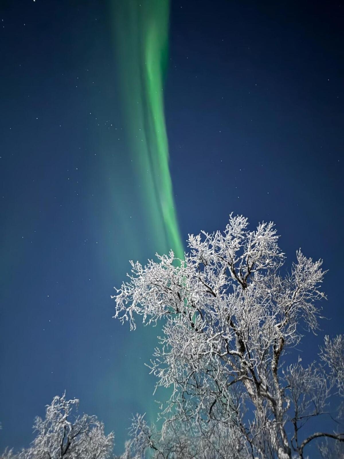 Trivelig Hytte I Senja. Exterior photo