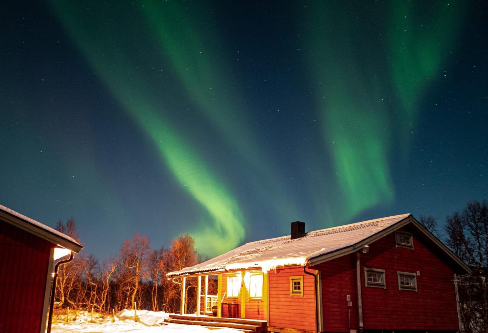 Trivelig Hytte I Senja. Exterior photo